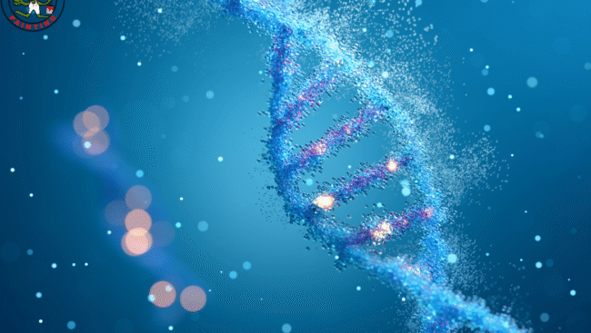 A Researcher’s Guide to Epithalon Peptide and Longevity Science