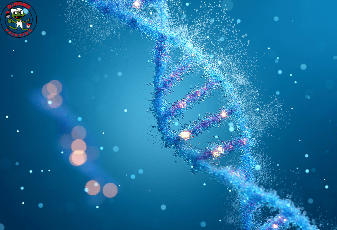 A Researcher’s Guide to Epithalon Peptide and Longevity Science