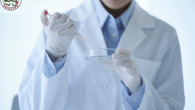 BPC-157 and TB-500 Peptide Stack: What Research Suggests