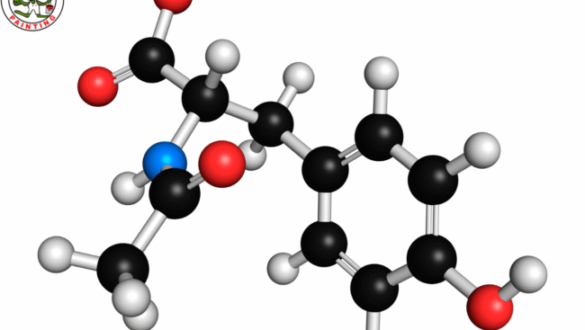Exploring N-Acetyl Selank and N-Acetyl Semax: A Peptide Comparison