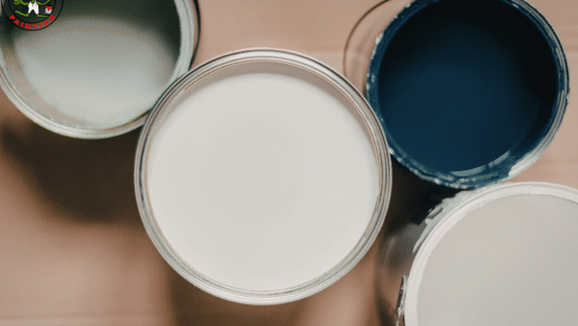 The Art of the Perfect Palette: Navigating White Paint and 2026 Color Trends