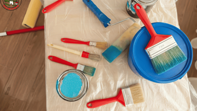 Drop Cloths for Painting